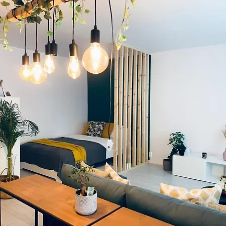 Daire Cosy 1 Bedroom Downtown Bükreş