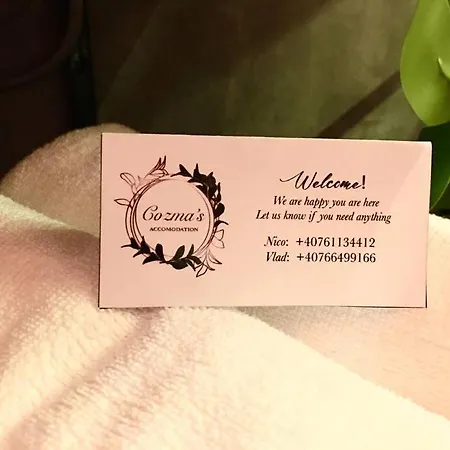 Cosy 1 Bedroom Downtown Apartament *